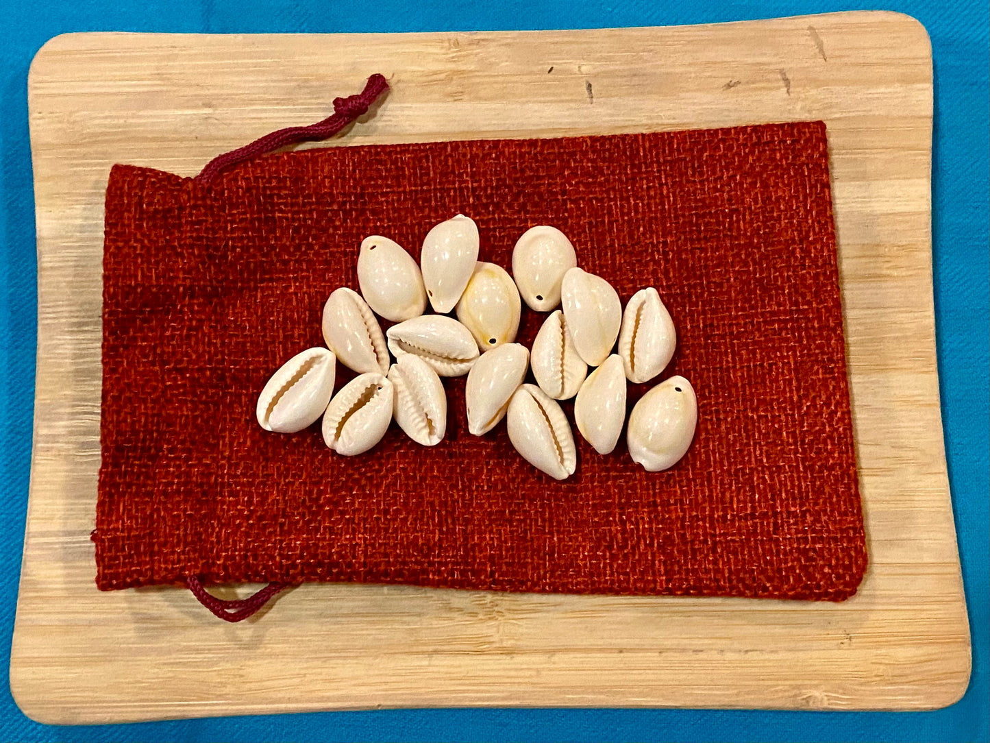 Divination Bag of 16 Cowrie Shells