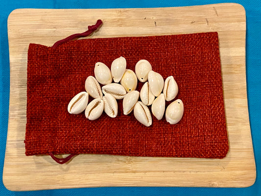 Divination Bag of 16 Cowrie Shells